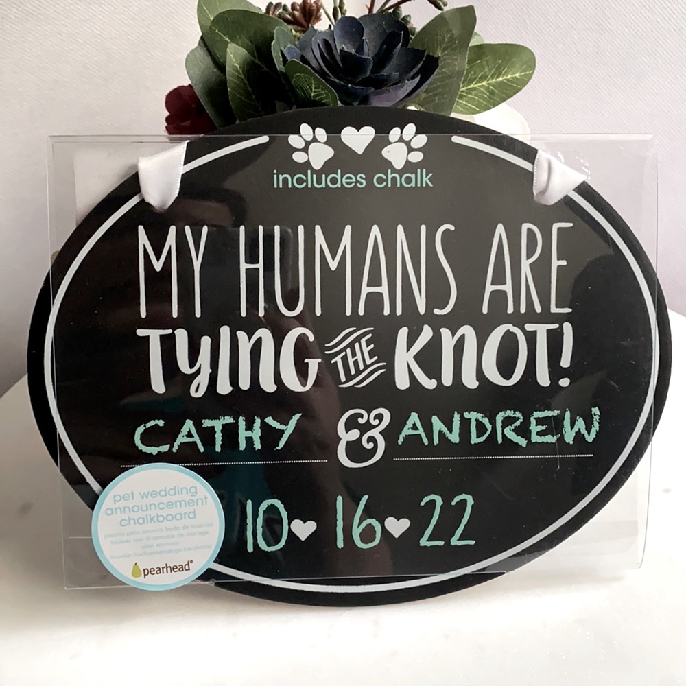 🐱WEDDING ANNOUNCEMENT BY PET!!! 🐶